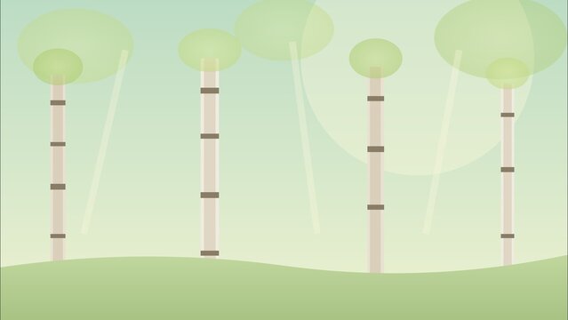 Pastel birch forest with white tree trunks and soft sunlight background