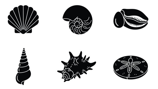 Collection of six black and white vector illustrations of various seashells and a sand dollar.