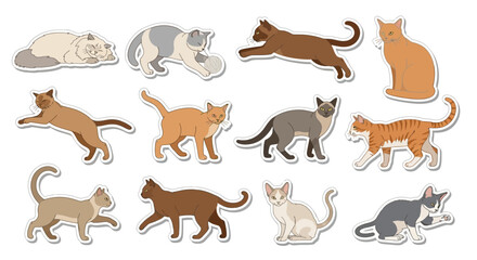 Obraz premium Cute Cat Sticker Collection in Various Poses and Colors
