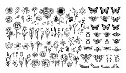 Hand Drawn Floral Elements and Insect Vector Collection © Mdyounus
