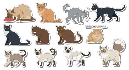 Obraz premium Flat vector sticker set of diverse cat breeds and poses
