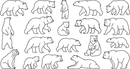 Hand Drawn Bear Family and Wild Animal Poses Line Art Collection © MehenajParvin
