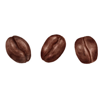 コーヒー豆３種