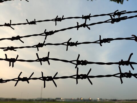 Silhouette of barbed wire against sunset sky