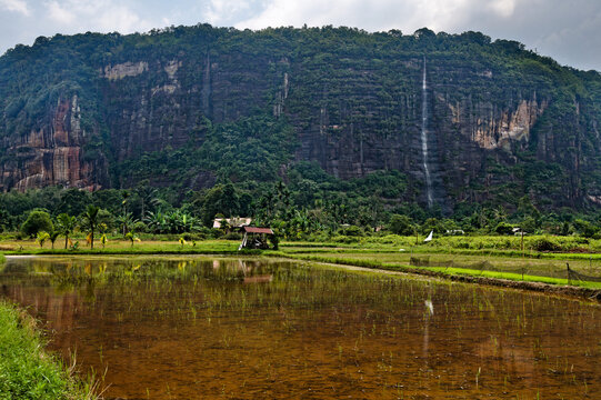 Harau Valley cliffs and rice paddies in Sumatra