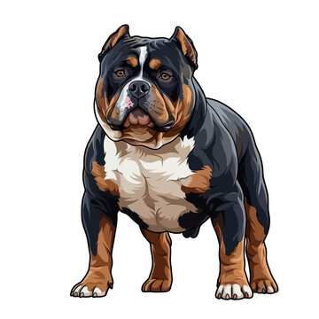 Muscular American Bully dog vector illustration in tricolor coat