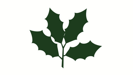 Fototapeta premium A dark green holly leaf illustration on a white background for seasonal decoration purposes