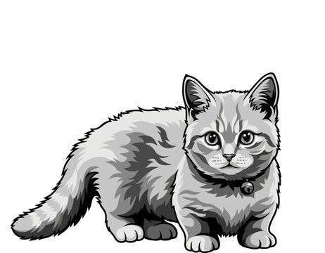 black and white vector illustration of a cute Munchkin cat