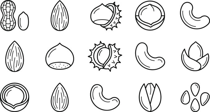 Organic nuts and healthy seeds line art icon set featuring peanut almond chestnut cashew and pistachio vectors