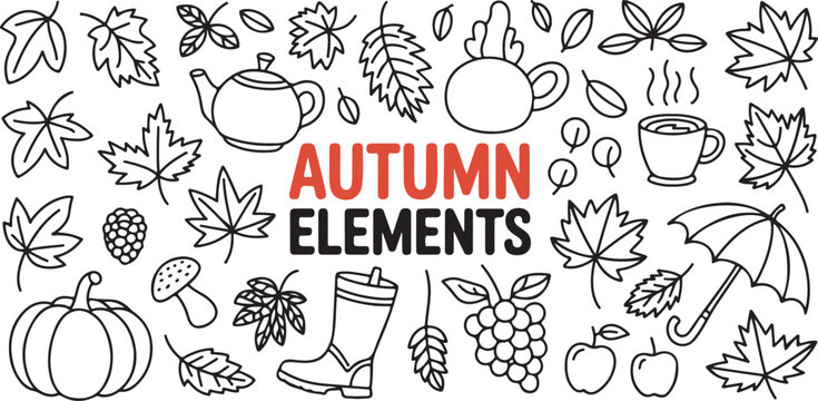 Autumn elements doodle collection featuring various leaves pumpkins mushrooms tea pots and umbrellas in sketch style.