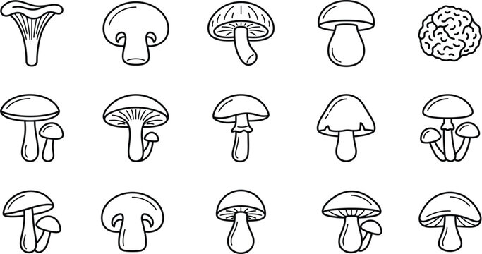 Edible mushroom and forest fungi line art icon set featuring chanterelle champignon morel and organic botany elements