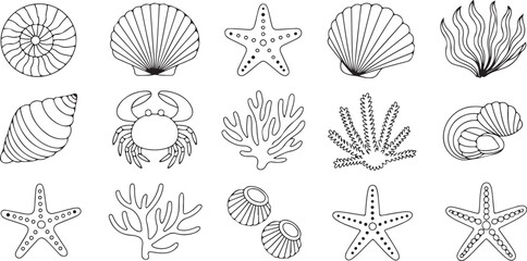 Assorted marine life shells starfish coral crab seaweed aquatic underwater ocean natural treasures, detailed outline drawings. © Kamrun82