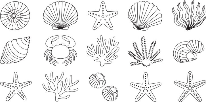 Assorted marine life shells starfish coral crab seaweed aquatic underwater ocean natural treasures, detailed outline drawings.