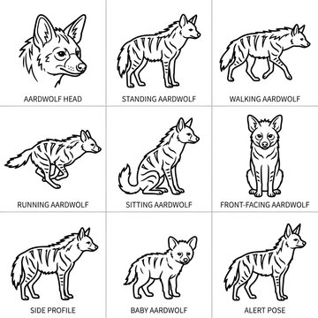 Set of aardwolf animal poses in black and white line art