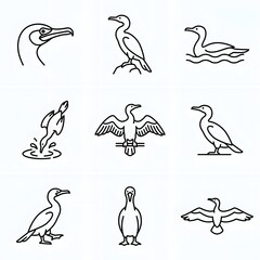 Obraz premium Set of cormorant bird line icons in different poses