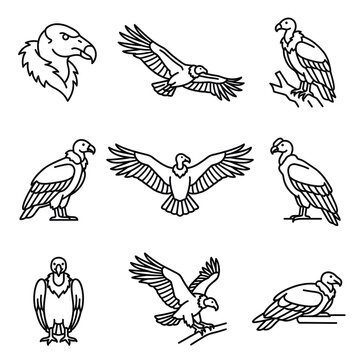 Set of vulture bird icons in black outline style