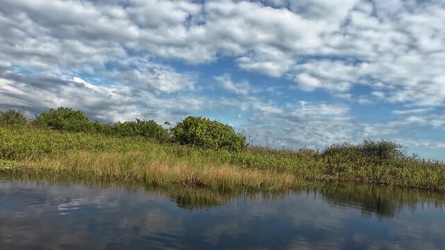 lake in the forest