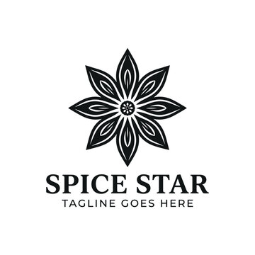 Star anise spice flower for cooking culinary ingredient healthy organic flavor logo design