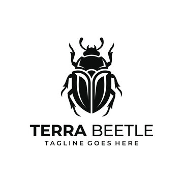 Beetle insect nature wildlife bug for terra earth environmental biology entomology logo design