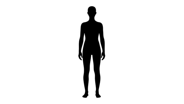 Silhouette of a Human Body Standing - Full Body Front View