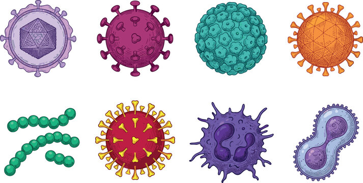 Microscopic virus and bacteria cell structures vector illustration set featuring pathogens coronavirus bacillus and blood cells isolated on white background.