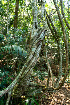 Saco do Mamangua, a tropical fiord in Paraty, Rio de Janeiro