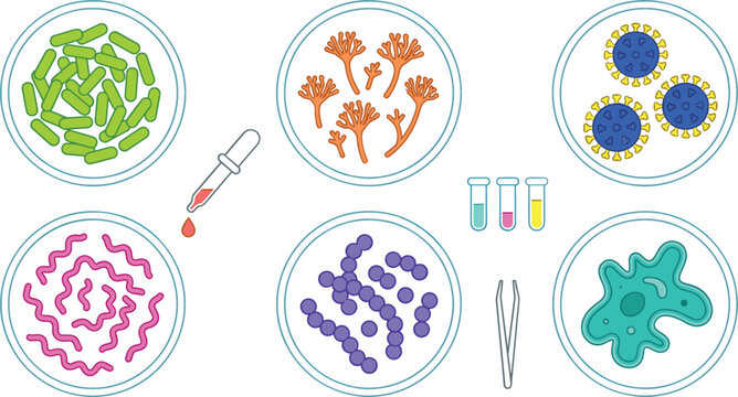 Microbiology laboratory experiment set featuring virus bacteria mold cultures in petri dishes with pipette and test tubes isolated on white background.