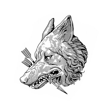 wolf engraving style
