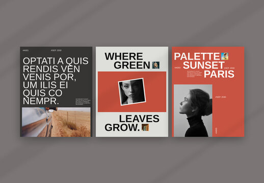Brand Social Media Stores Layout