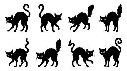 Fototapeta premium Set of black cat silhouettes in arched back poses for spooky holiday design elements