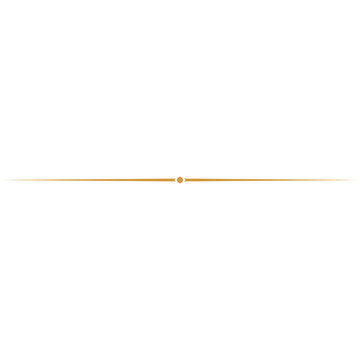 Minimalist brown line with small orange dot in the center