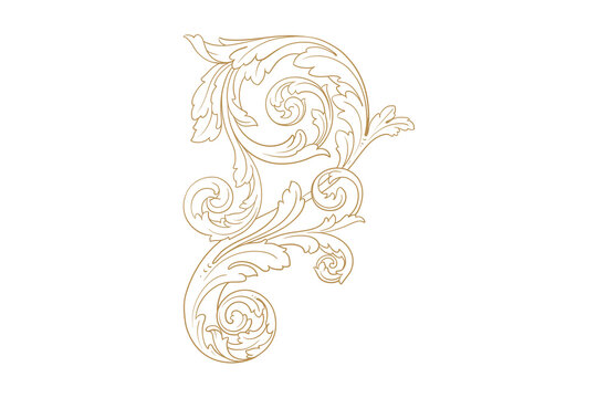Elegant swan with long neck and wings in motion