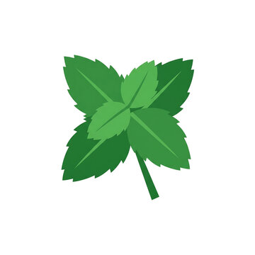Fresh green mint leaves isolated on a clean white background.