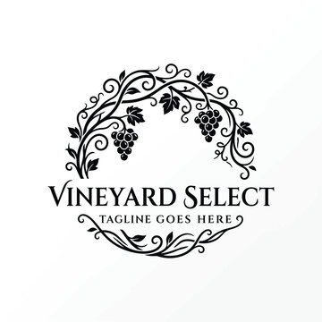 Elegant Circular vine wreath with grapes swirling tendrils for vineyard select winery agriculture viticulture premium wine logo design