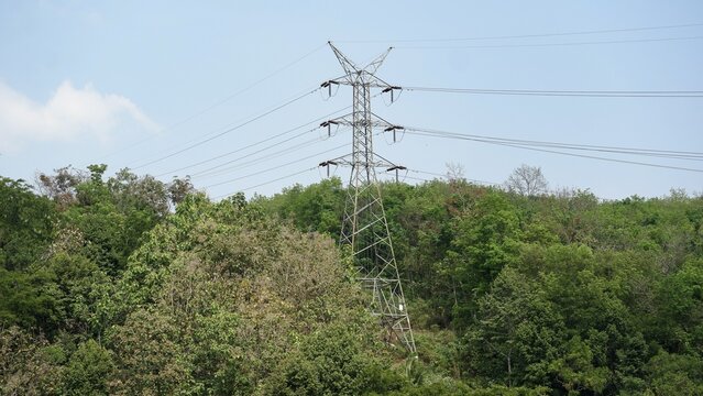 Industrial power line infrastructure distributing energy through metal lattice tower structures surrounded by rural jungle trees.