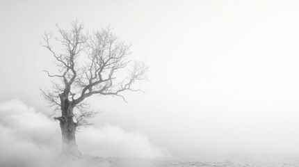 Fototapeta premium A lone bare tree stands in a foggy landscape with misty clouds rolling in.