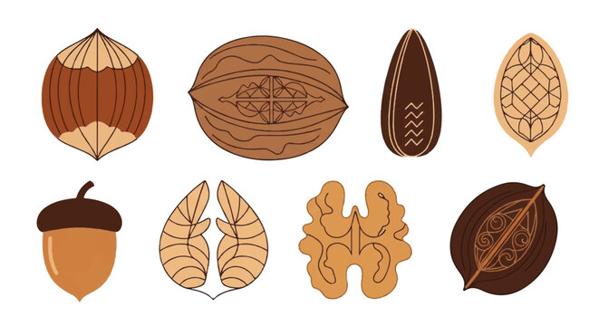 An illustration shows various nuts and leaves on a plain surface