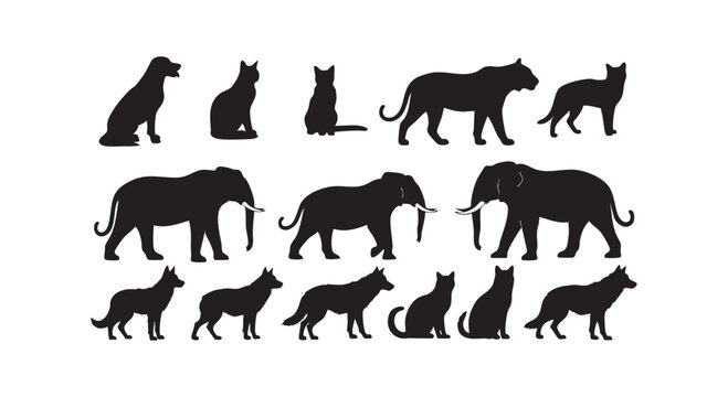 Wild mammal silhouettes set including elephants tigers wolves and cats for safari and forest adventure graphic design art.