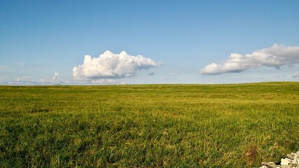 沖縄県八重山諸島黒島の広大な牧草地 © 隼人 増田
