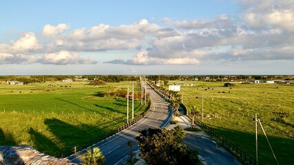 沖縄県八重山諸島黒島の広大な牧草地 © 隼人 増田