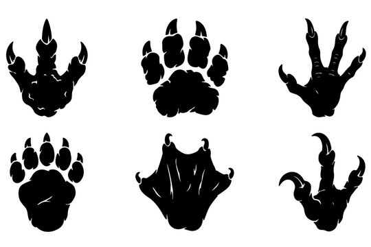 Animal Tracks Silhouette: A collection of six distinct animal paw print silhouettes in black, showcasing various claw and toe patterns.