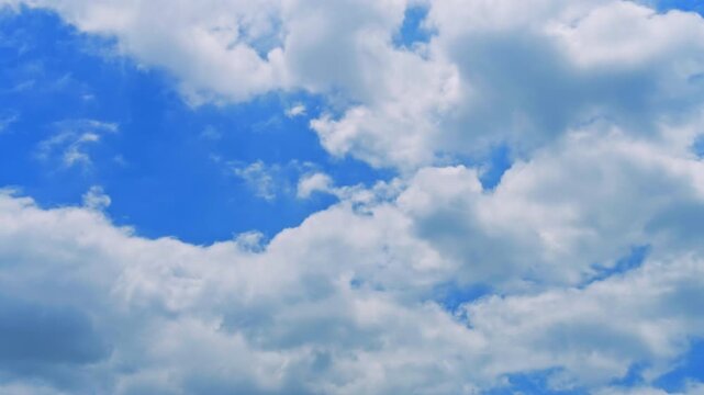 都会の日常を見上げる、東京の空模様