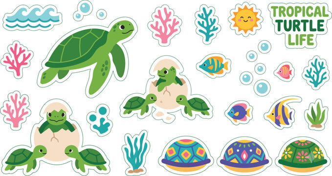 Turtles in tropical sea life.