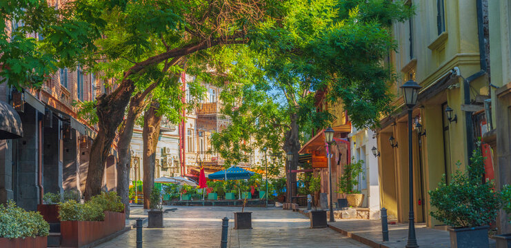 Picturesque empty pedestrian street with green trees in old Tbilisi with copy space