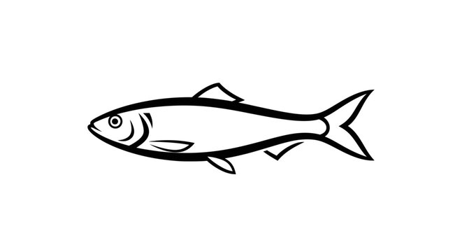 Side profile of a small herring or anchovy fish illustration.