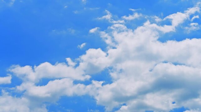 都会の日常を見上げる、東京の空模様