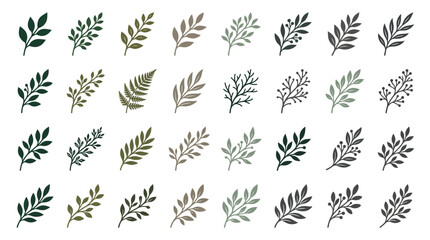 Fototapeta premium A graphic illustration of various leaf types and shapes in different colors and shades.