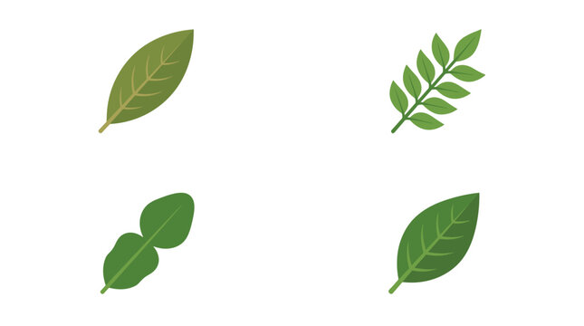 Set of four flat color vector icons representing aromatic leaves, bay laurel leaf, curry leaf sprig, kaffir lime double leaf, and Indonesian daun salam leaf, on pure white background