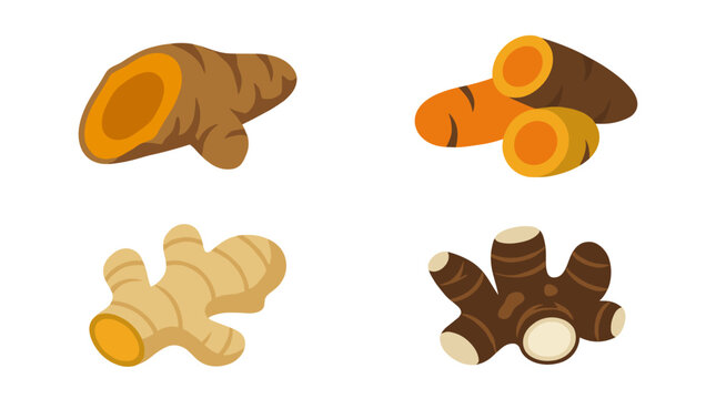 Set of four flat color vector icons representing Indonesian jamu drink spices, including temulawak, turmeric, ginger, and galangal roots, arranged in a 2x2 grid