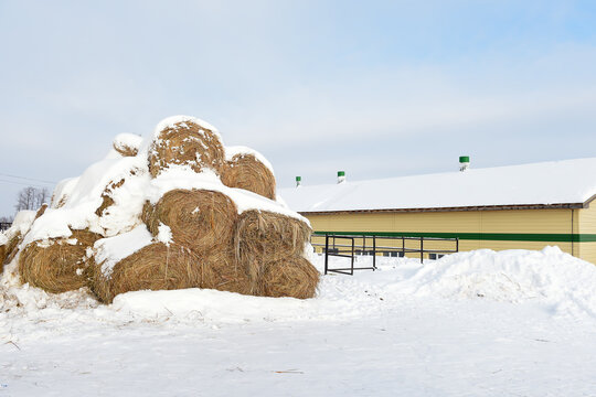 Snow Covered Hay Bale Stack at Winter Equestrian Farm